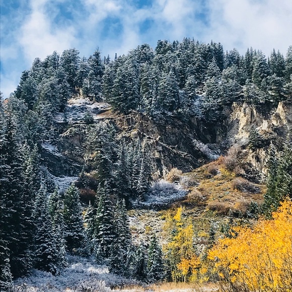 Meet your Posher, Olga - Picture 1 of 1